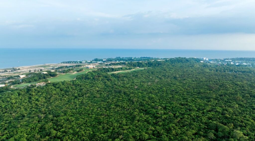 Binh-minh-the-lotus-Ho-Tram