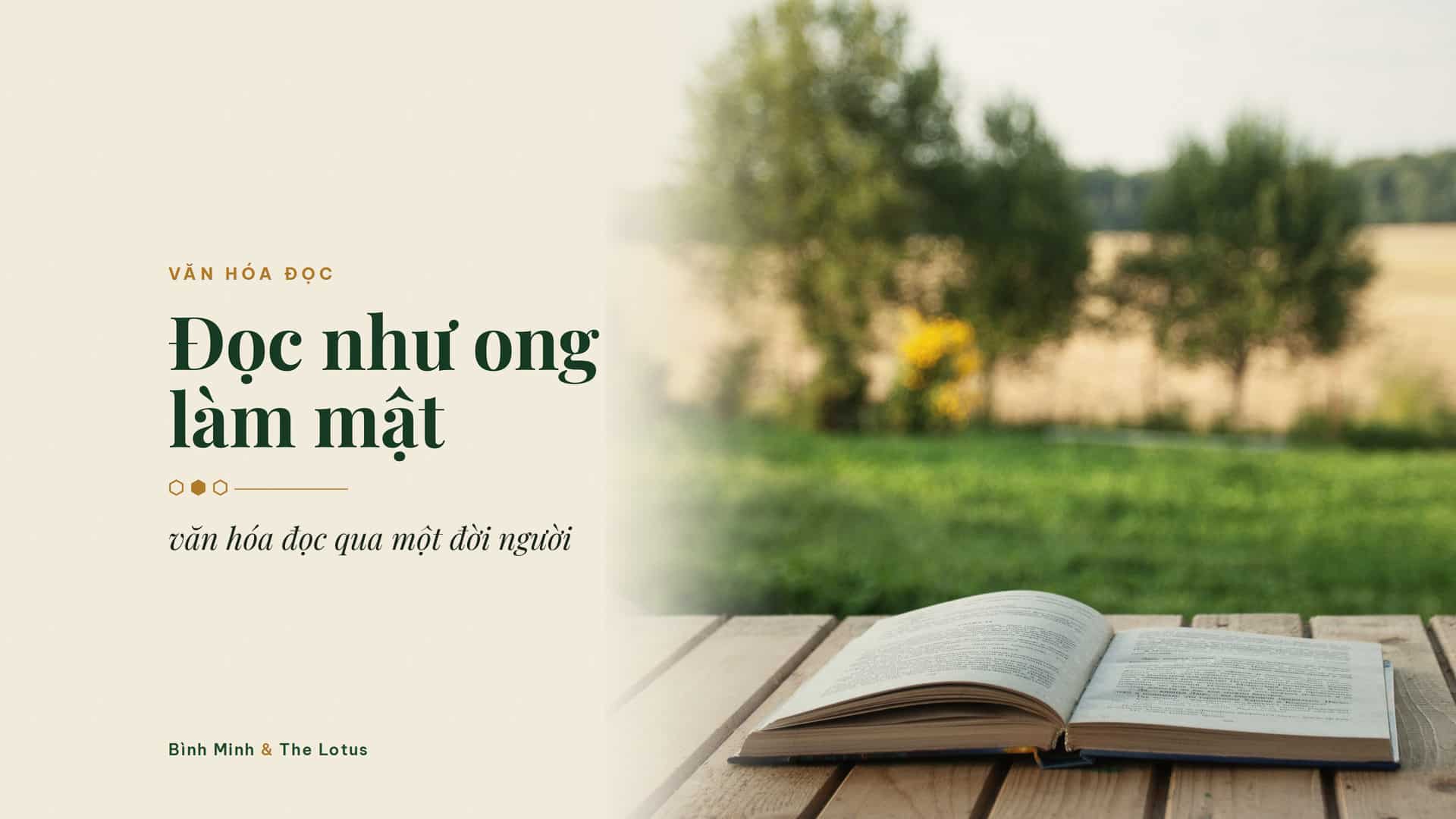 Đọc như ong làm mật: văn hóa đọc qua một đời người